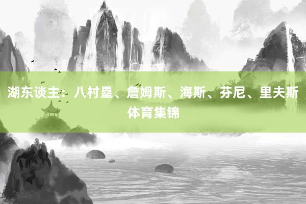 湖东谈主：八村塁、詹姆斯、海斯、芬尼、里夫斯体育集锦