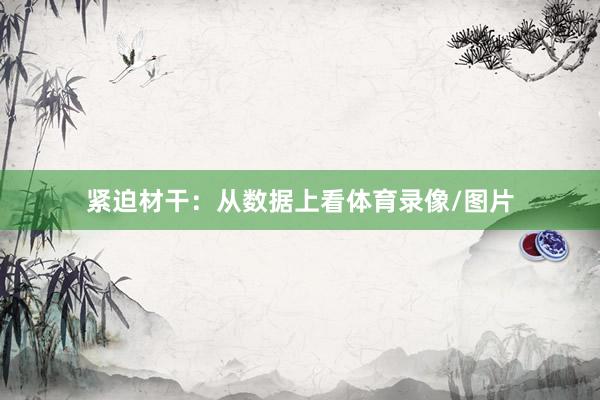 紧迫材干:从数据上看体育录像/图片