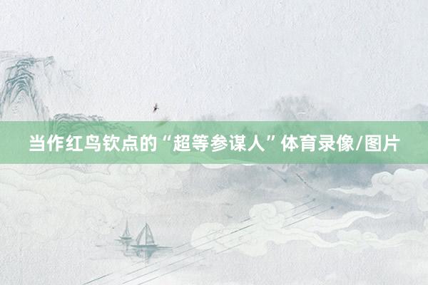 当作红鸟钦点的“超等参谋人”体育录像/图片