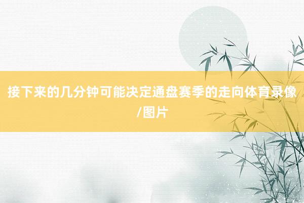 接下来的几分钟可能决定通盘赛季的走向体育录像/图片