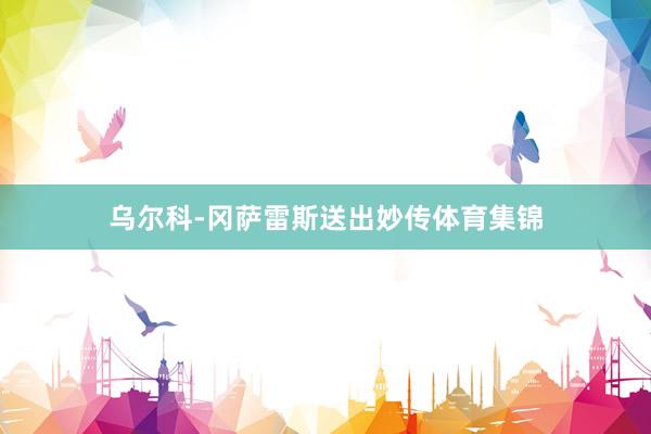 乌尔科-冈萨雷斯送出妙传体育集锦