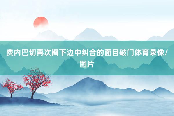 费内巴切再次阁下边中纠合的面目破门体育录像/图片