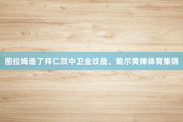 图拉姆造了拜仁双中卫金玟哉、戴尔黄牌体育集锦