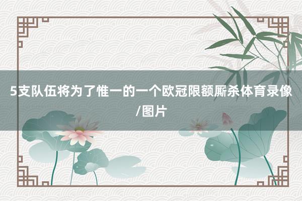 5支队伍将为了惟一的一个欧冠限额厮杀体育录像/图片