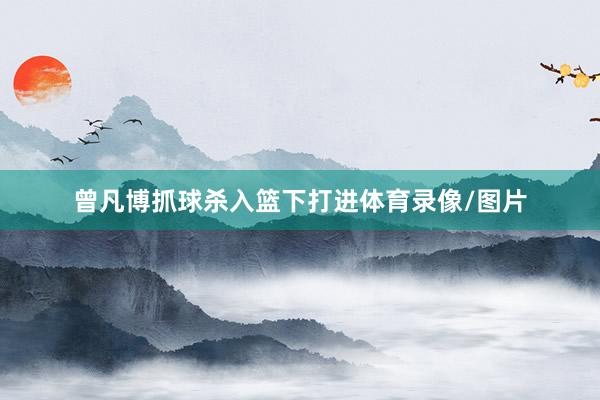 曾凡博抓球杀入篮下打进体育录像/图片