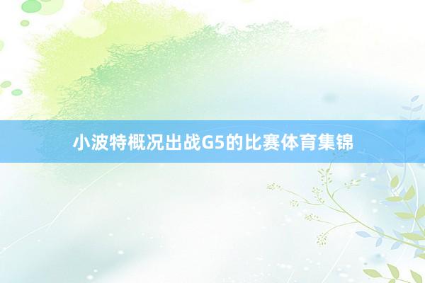 小波特概况出战G5的比赛体育集锦
