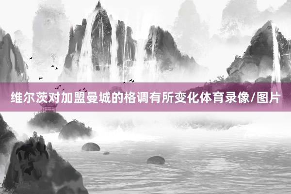 维尔茨对加盟曼城的格调有所变化体育录像/图片