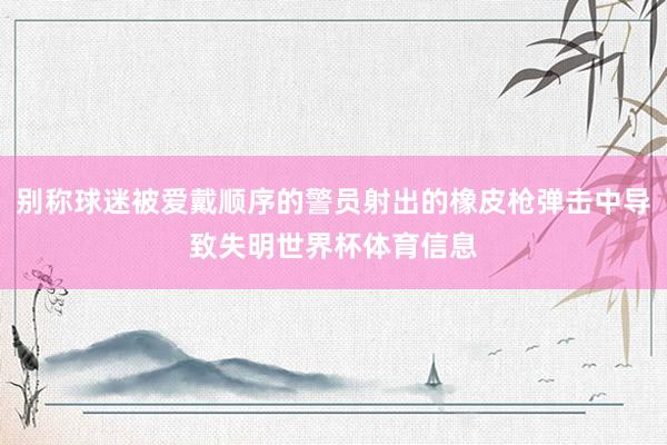 别称球迷被爱戴顺序的警员射出的橡皮枪弹击中导致失明世界杯体育信息