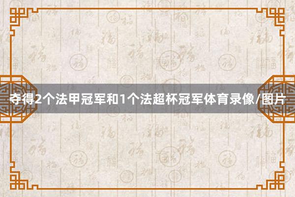 夺得2个法甲冠军和1个法超杯冠军体育录像/图片