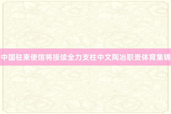 中国驻柬使馆将接续全力支柱中文陶冶职责体育集锦