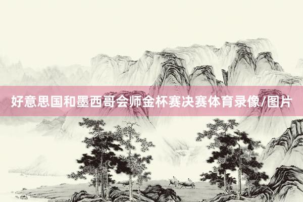 好意思国和墨西哥会师金杯赛决赛体育录像/图片