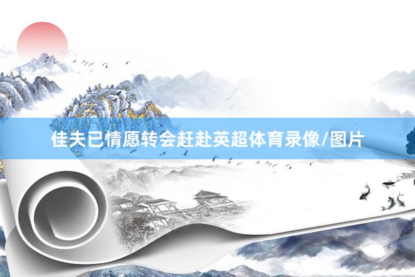 佳夫已情愿转会赶赴英超体育录像/图片