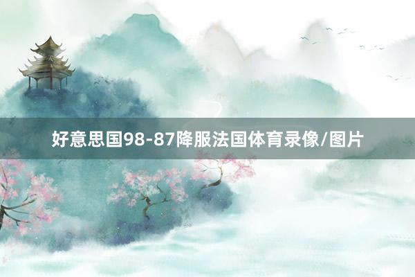 好意思国98-87降服法国体育录像/图片