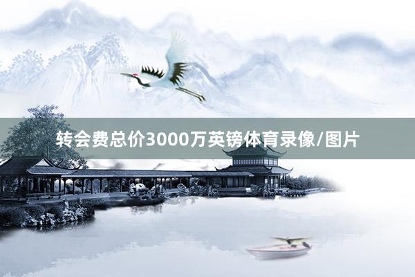 转会费总价3000万英镑体育录像/图片