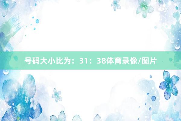 号码大小比为：31：38体育录像/图片