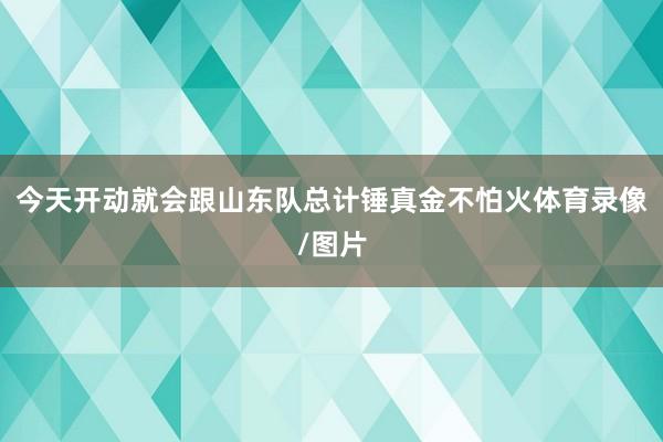 今天开动就会跟山东队总计锤真金不怕火体育录像/图片