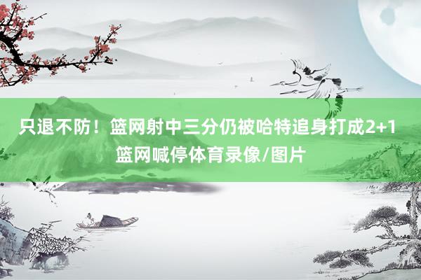 只退不防！篮网射中三分仍被哈特追身打成2+1 篮网喊停体育录像/图片
