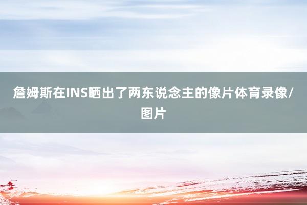 詹姆斯在INS晒出了两东说念主的像片体育录像/图片