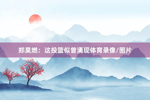 郑昊燃：这投篮似曾涌现体育录像/图片