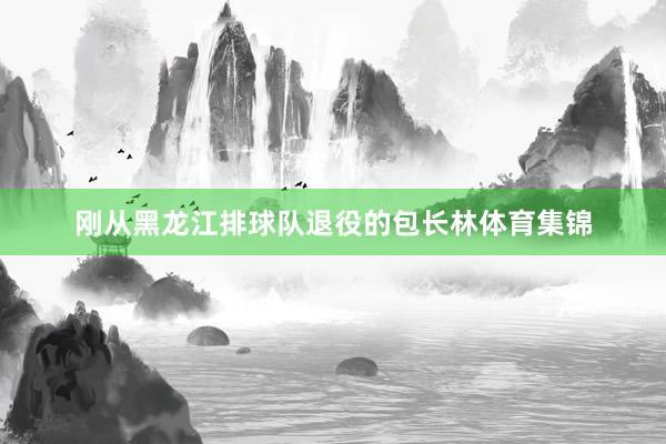 刚从黑龙江排球队退役的包长林体育集锦