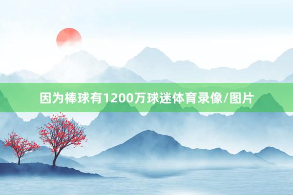 因为棒球有1200万球迷体育录像/图片