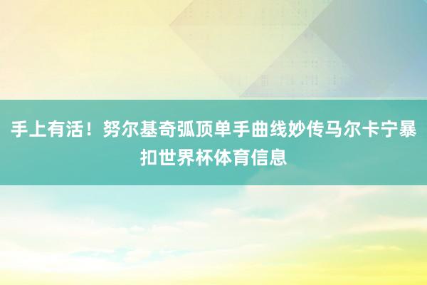 手上有活！努尔基奇弧顶单手曲线妙传马尔卡宁暴扣世界杯体育信息
