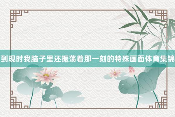 到现时我脑子里还振荡着那一刻的特殊画面体育集锦