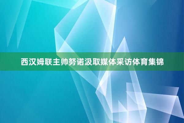 西汉姆联主帅努诺汲取媒体采访体育集锦