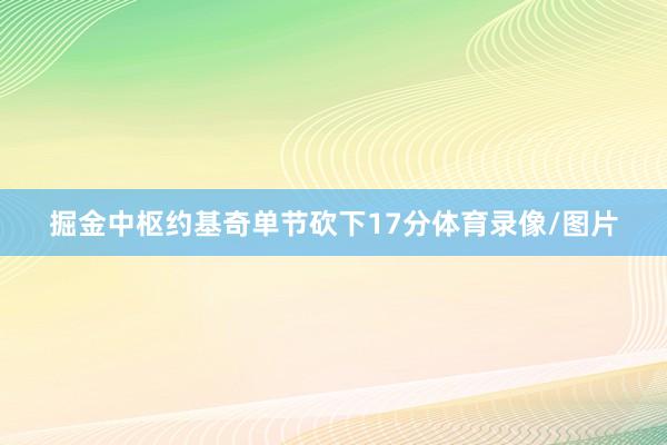 掘金中枢约基奇单节砍下17分体育录像/图片