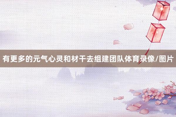 有更多的元气心灵和材干去组建团队体育录像/图片