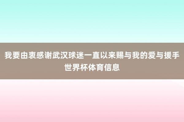 我要由衷感谢武汉球迷一直以来赐与我的爱与援手世界杯体育信息