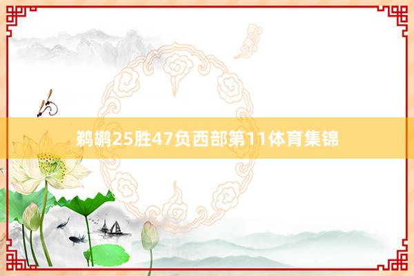 鹈鹕25胜47负西部第11体育集锦