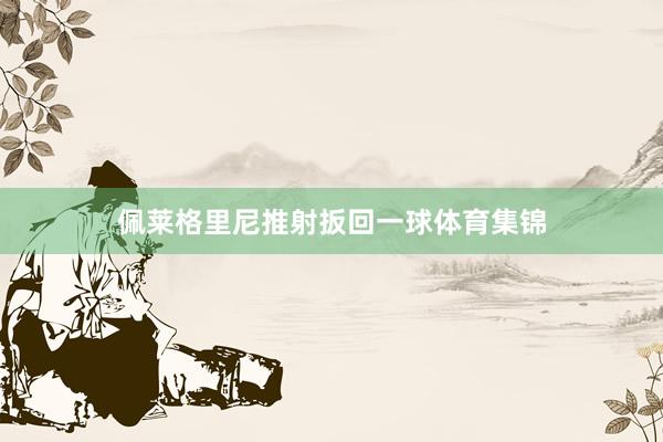 佩莱格里尼推射扳回一球体育集锦