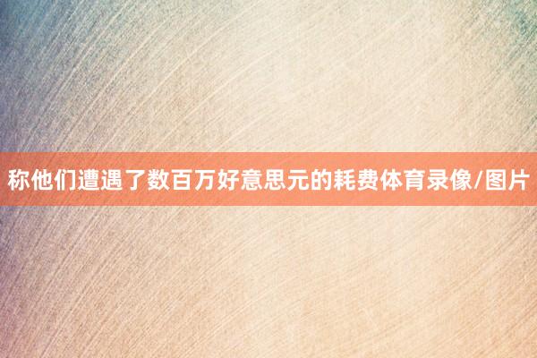 称他们遭遇了数百万好意思元的耗费体育录像/图片