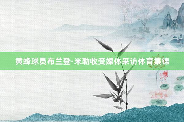 黄蜂球员布兰登·米勒收受媒体采访体育集锦