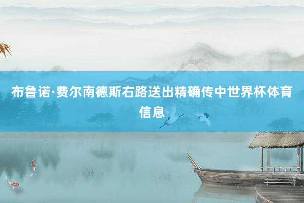 布鲁诺·费尔南德斯右路送出精确传中世界杯体育信息