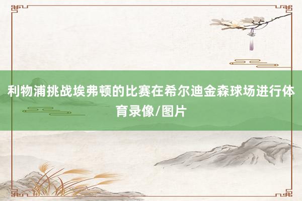 利物浦挑战埃弗顿的比赛在希尔迪金森球场进行体育录像/图片