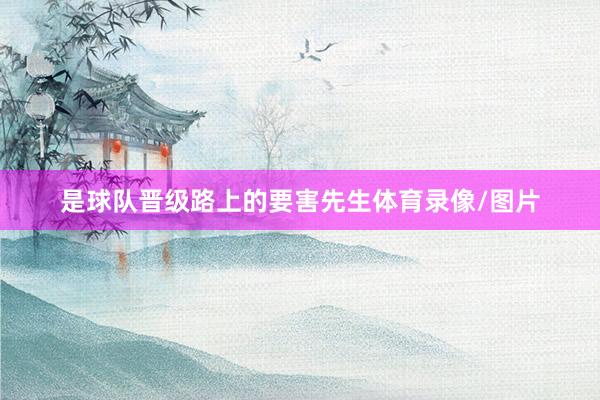 是球队晋级路上的要害先生体育录像/图片
