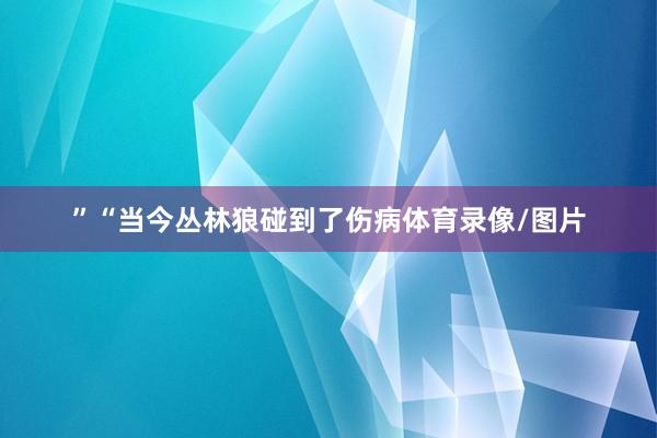”“当今丛林狼碰到了伤病体育录像/图片