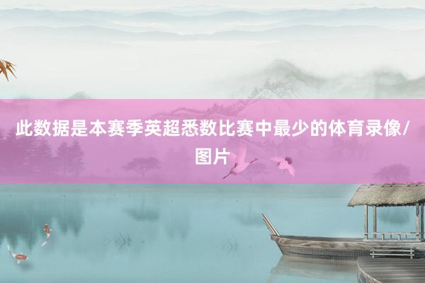 此数据是本赛季英超悉数比赛中最少的体育录像/图片