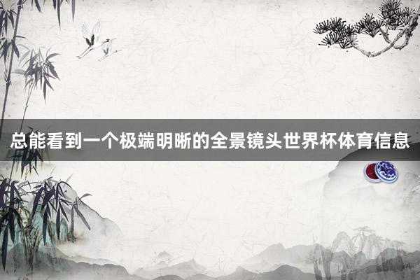 总能看到一个极端明晰的全景镜头世界杯体育信息