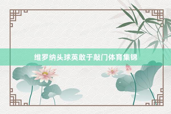 维罗纳头球英敢于敲门体育集锦