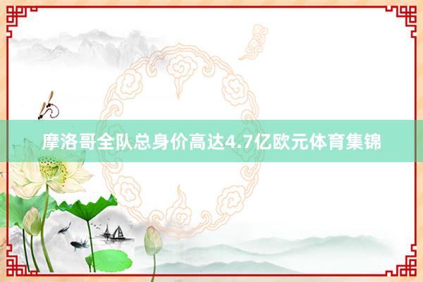 摩洛哥全队总身价高达4.7亿欧元体育集锦