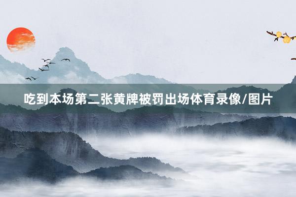 吃到本场第二张黄牌被罚出场体育录像/图片