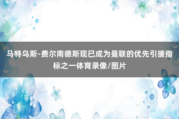 马特乌斯-费尔南德斯现已成为曼联的优先引援指标之一体育录像/图片
