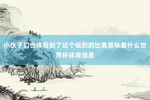 小伙子们也体验到了这个级别的比赛意味着什么世界杯体育信息
